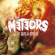 40 Days A Rotting , The Meteors