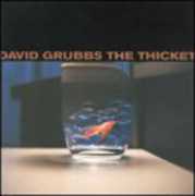 Thicket , David Grubbs