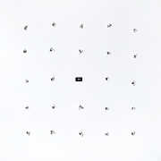 Split Series #24 , Ian William Craig