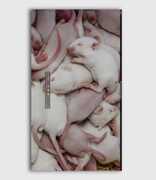 Rat Film , Dan Deacon