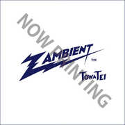 Zambient , Towa Tei