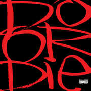 Picture This (30th Anniversary) , Do or Die