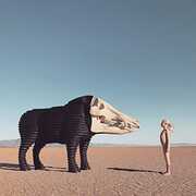 Dream Hunting In The Valley Of The In-between , Man Man