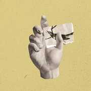 Walls, Fragments , Catalina