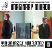 Imaginary Mirror , Koen Plaetinck