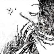 Virstele Pamintului , Negura Bunget