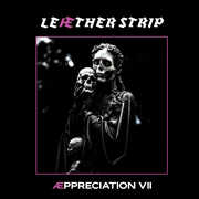 Appreciation VII , Leather Strip