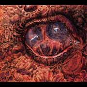 Cruelty Bacchanal , Shardik