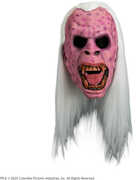 Trick or Treat Studios - Ghostbusters - Library Ghost Vinyl Mask 