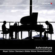 Auferstehung , Gregor Meyer