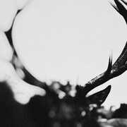 IHSAHN (Orchestral Version) , Ihsahn