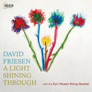 A Light Shining Through , David Friesen