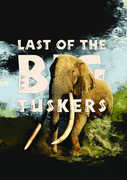 Last Of The Big Tuskers