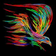 Giuramenti [Import] , Ministri