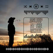 Asleep At The Wheel - LIVE , Asleep at the Wheel