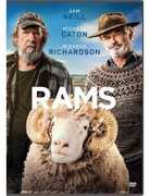 Rams 