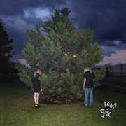 1000 Gecs , 100 gecs