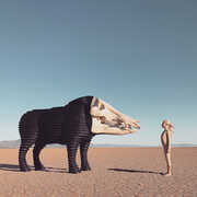 Dream Hunting In The Valley Of The In-between , Man Man