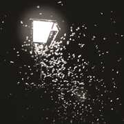 Ten Thousand Swerves / G & C