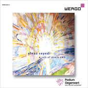 Seyedi: a sun of one’s own , David Eggert