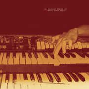 Destroy Destroy Destroy , The American Analog Set