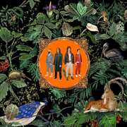 Amazing Things , Don Broco