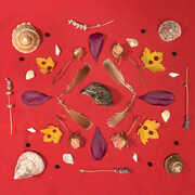 Grouse Head Talisman , Secret Family