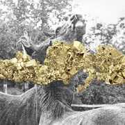 Temporada De Pesca [Import] , Martin Guerra