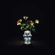 Renewal , Billy Strings