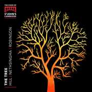 Tree , Yale Schola Cantorum