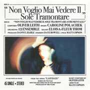 Non Voglio Mai Vedere , Caroline Polachek