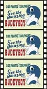 Buddyboy , Martin Shaw