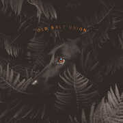 Where The Dogs Don't Bite , Old Salt Union