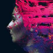 Hand.Cannot.Erase , Steve Wilson