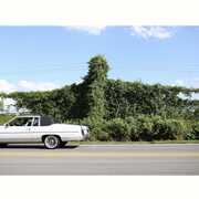 WHEN I GO I GHOST , Cory Branan