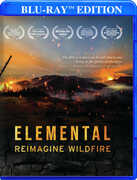 Elemental: Reimagine Wildfire , David Oyelowo