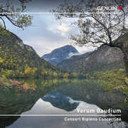 Verum Gaudium , Consort Ripieno Concertino