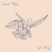 Get Along (Japanese Bonus Tracks) [Import] , David Philips
