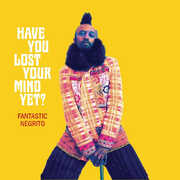 Have You Lost Your Mind Yet , Fantastic Negrito