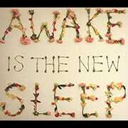 Awake Is the New Sleep , Ben Lee