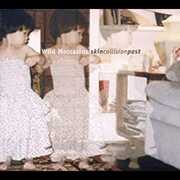 Skin Collision Past , Wild Moccasins