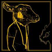 Roll The Bones X (Gold & Black Vinyl) , Shakey Graves