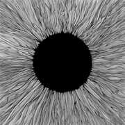 Witness , VOLA