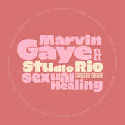 Sexual Healing , Marvin Gaye