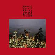 I Made A Place , Bonnie Prince Billy