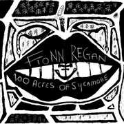 100 Acres Of Sycamore , Fionn Regan