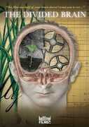 Divided Brain 