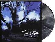 Break The Cycle , Staind