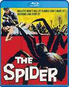 The Spider , Ed Kemmer