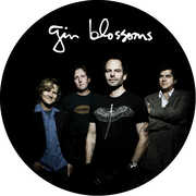 Live In Concert , Gin Blossoms